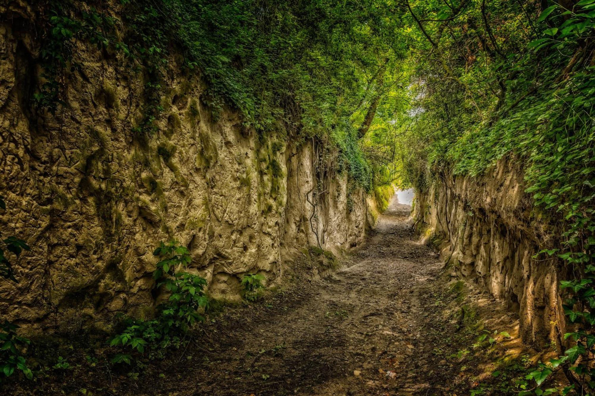 Dreilaendereck Am Kaiserstuhl Wasenweiler 外观 照片