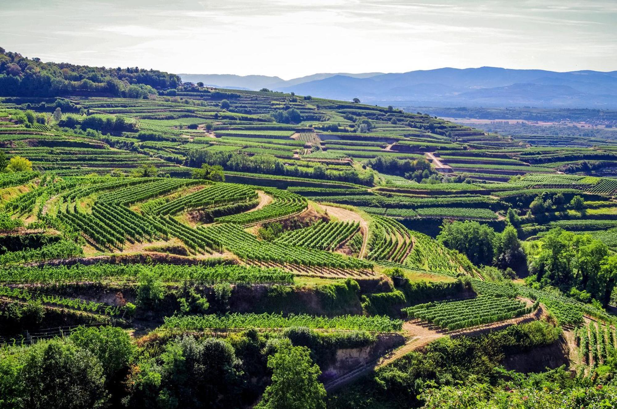 Dreilaendereck Am Kaiserstuhl Wasenweiler 外观 照片